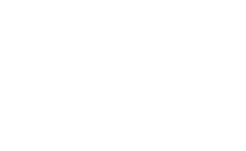 Emmy's Delight Concept Store Logo